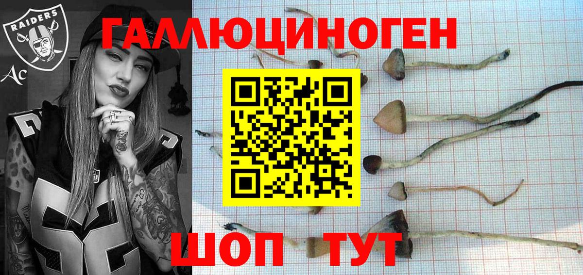 Галлюциногенные грибы Cubensis Минусинск
