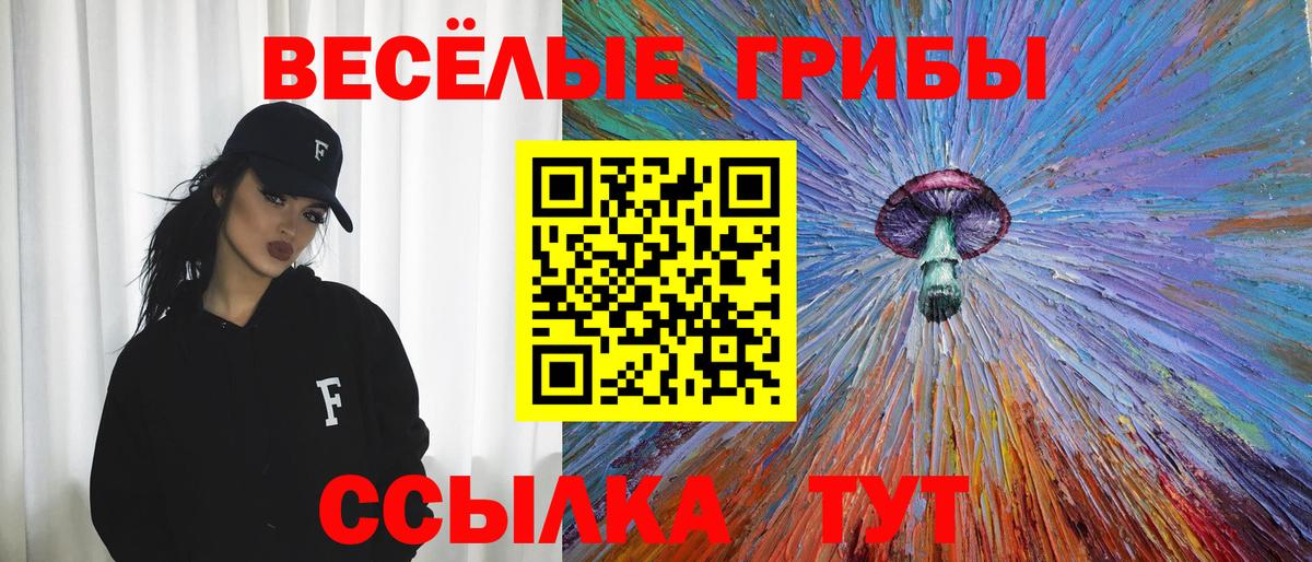 Минусинск  Галлюциногенные грибы прущие грибы  Вход с VPN  Галлюциногенные грибы MAGIC MUSHROOMS 